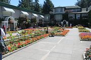 109 - Butchard Gardens  - IMG_1728